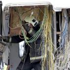 5d651774250000bf07874aff