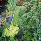 Photo by Marcel Wilson