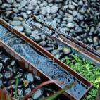 Photo by Marcel Wilson