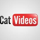 5c8b5f69240000f404a48c50