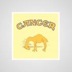 5c8b5f6e250000e203ca7ff0