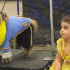 5c8b6a2d2400006c05a4a837