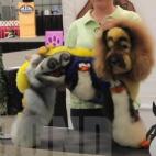 5c8b6a2e230000040124ac5e