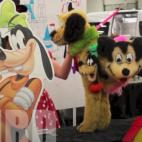 5c8b6a2e360000c81a6d0637