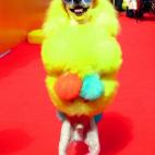 5c8b6a2e360000c81a6d0639