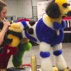 5c8b6a2f2300005300e822e5