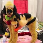 5c8b6a2f2300005300e822e9