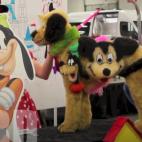 5c8b6a302300005400e822eb