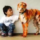 5c8b6a30240000f404a4a83f