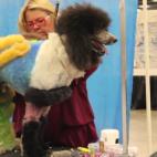 5c8b6a302500001304ca9bcb