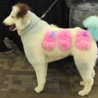 5c8b6a313b000002076d879a