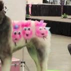 5c8b6a312500001304ca9bcf