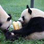 5c8ae95422000031001a14d2