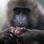 5c8ae954250000e203c9d924