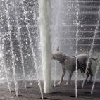 5c8ae9553b000054066cc634