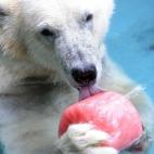 5c8ae955240000f404a3e41c