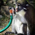 5c8ae957230000dd0423e8d2