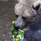 5c8ae9572000009e046ff31d