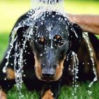 5c8ae9582500000d04c9d92e