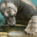 5c8ae95820000045046ff321