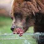 5c8ae95822000031001a14dc