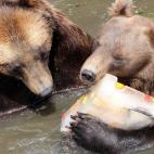 5c8ae9592300005400e7601c