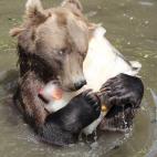 5c8ae9592500000d04c9d932