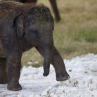 5c8ae95922000033001a14e0