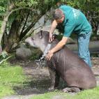 5c8ae95a240000f7054ca879