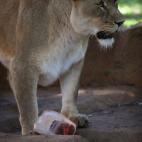 5c8ae95a2300002f00e76026