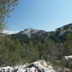 Montaña sobre Andratx, un mirador natural con las laderas cubiertas de pinares.