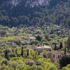 Otra de las zonas afectadas por el incendio, cuyo foco está controlado.