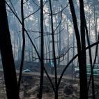 5c8ae561360000a61b6c3fb3