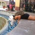 5c8b6c0a2500000704caa03e