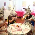 5c8b6c0f360000e01c6d0b04