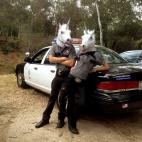 5c8b6c0f3b000054066d8c30