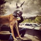 5c8b6c1022000033001addf1