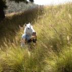 5c8b6c112400006b054d707a