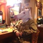 5c8b6c112400006c05a4ace4