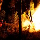 5c8ae5632500001304c9d351