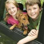 Procure aparcar a la sombra. Si deja el coche al sol, no deje dentro del vehículo a niños, ancianos o animales.