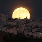 5c8b44f02400006b054d34d6