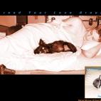 5c8b6a6d3b000002076d8838