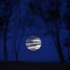 5c8b44f53b000070066d5174