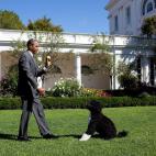 5c8b6cd4360000ba1a6d0c95