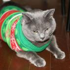 5c8a4d36260000e104fe2c7b