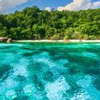 5c8b26912000009d037045e8