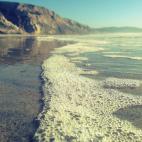 5c8b26922400000a05a43835