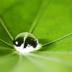 5c8b2692240000f404a43837