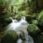 5c8b26942400006d054cfbb7